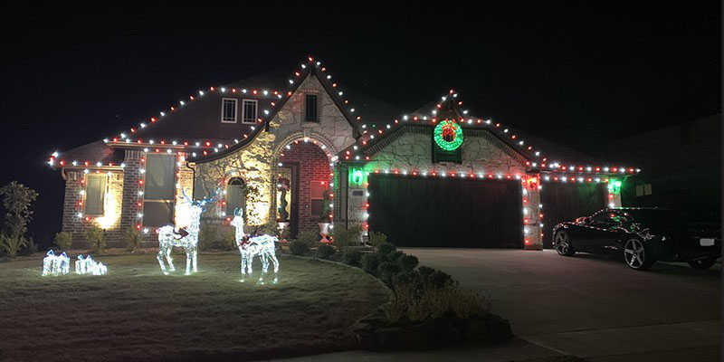 reindeer